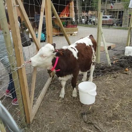 Immobile Alla Plage Apartment