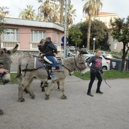 Immobile Alla Plage *